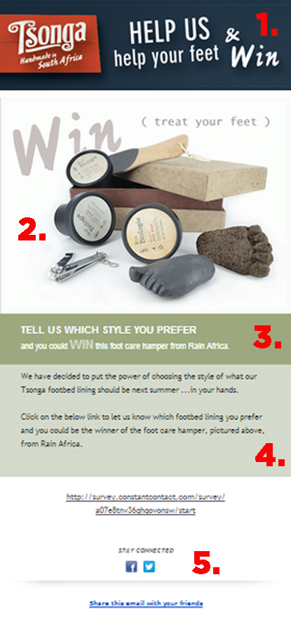 Tsonga Email newsletter Full View