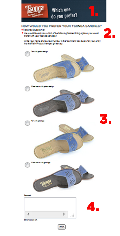Tsonga Customer Survey email